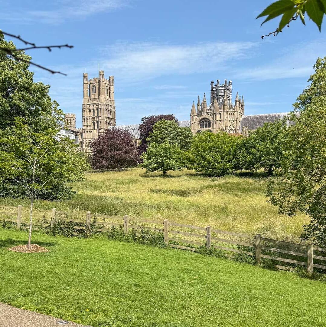 <strong>Rooted Locally Trusted Widely</strong>